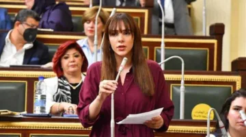 تحركات نيابية بشأن تنظيمات بيع عسل النحل