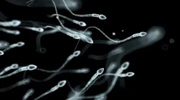تحسس السائل المنوي عند الرجال والنساء قد يسبب الوفاة