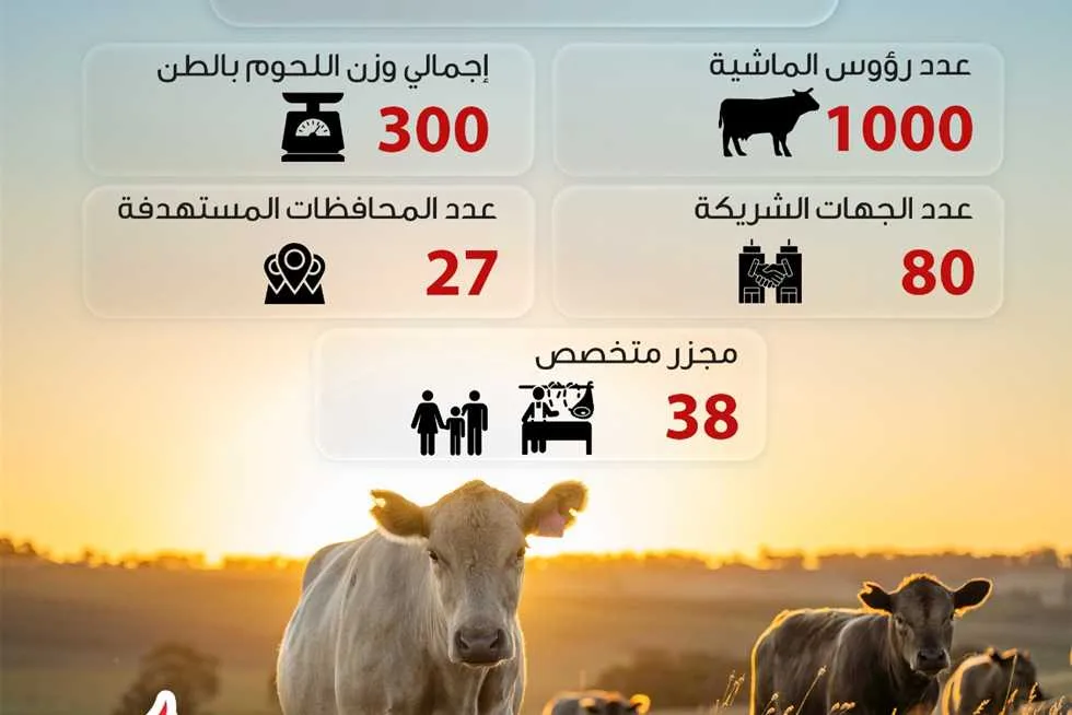 «تحيا مصر» ينال استفادة 1.5 مليون شخص من لحوم الأضاحي للأسر الأكثر احتياجاً (إنفوجراف) «تحيا مصر» ينال استفادة 1.5 مليون شخص من لحوم الأضاحي للأسر الأكثر احتياجاً (إنفوجراف)