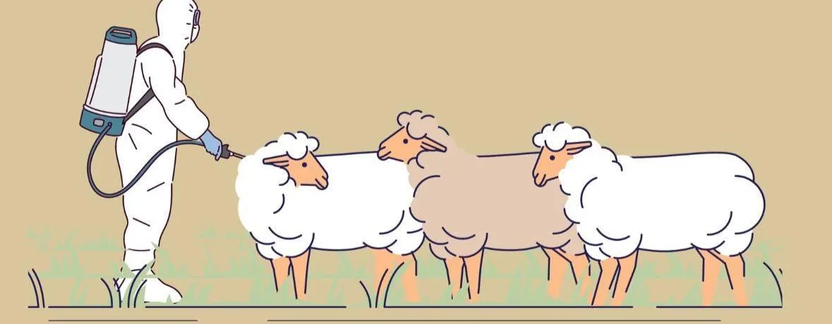 تدابير للحد من حمى القرم الكونغو النزفية تدابير للحد من حمى القرم الكونغو النزفية