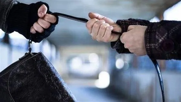 تفاصيل اعترافات المتهمين بسرقة الحقائب من المواطنين في الأميرية
