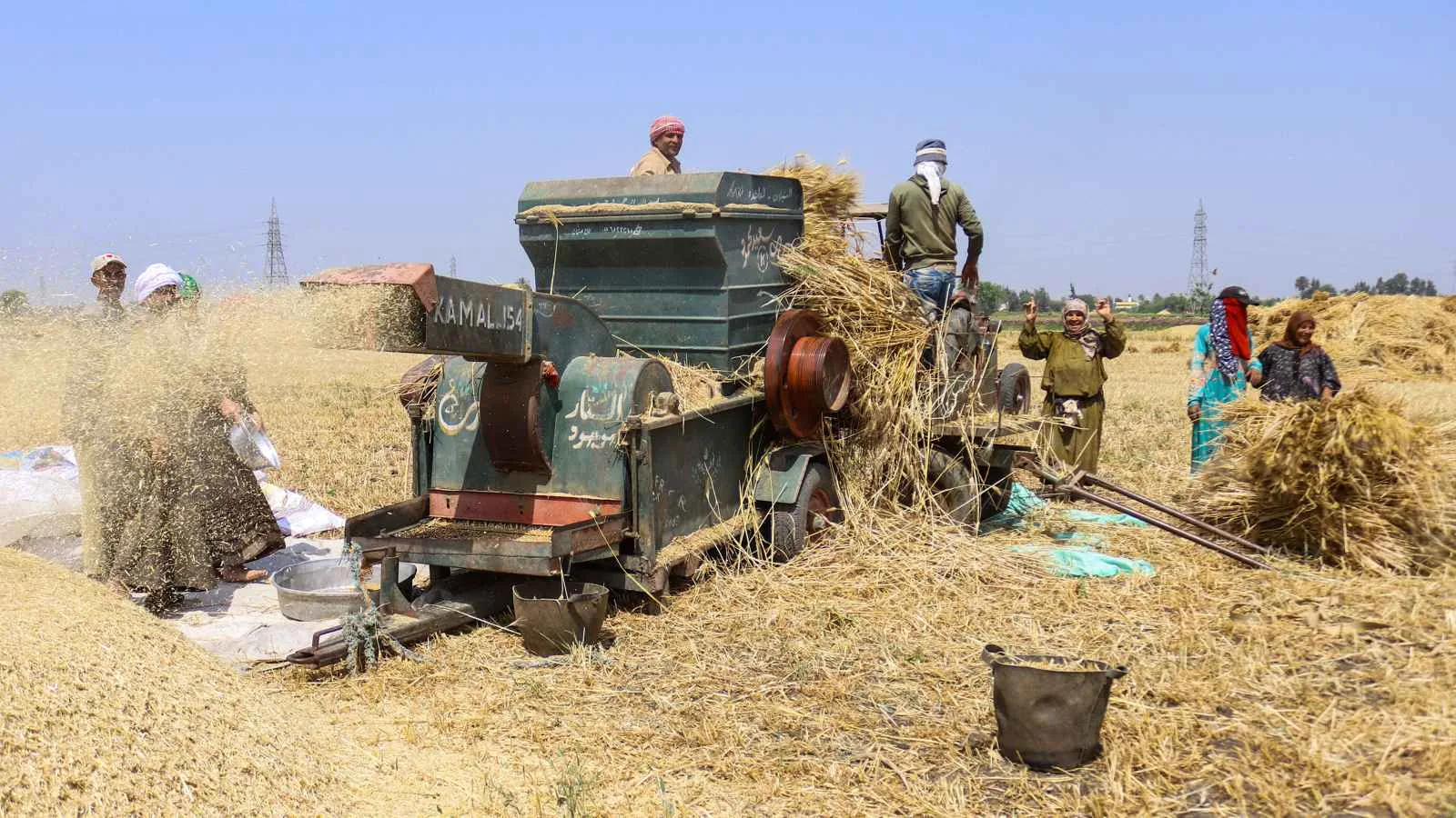 تقارير فرنسية: مصر تنتظر وصول باخرة قمح بسعة 60 ألف طن تقارير فرنسية: مصر تنتظر وصول باخرة قمح بسعة 60 ألف طن