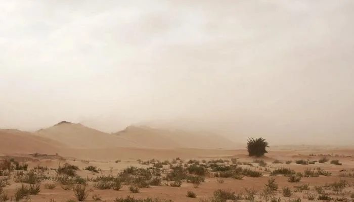 تقدم التصحر في تونس: خطر خفي على البيئة والموارد الغذائية تقدم التصحر في تونس: خطر خفي على البيئة والموارد الغذائية