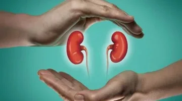 تناولها يوميًا يزيد من خطر الإصابة بأمراض الكلى.. أكثر الأطعمة ضررًا على صحة الكلى