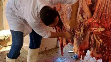 محافظ الجيزة: ذبح 2202 أضحية في مسالخ المحافظة خلال اليومين الأول والثاني من عيد الأضحى