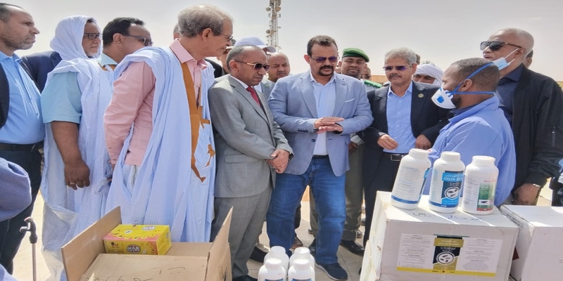 توثيق 208 إصابة بحمى الضنك في شمال موريتانيا توثيق 208 إصابة بحمى الضنك في شمال موريتانيا