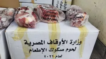 توزيع 14 طن من اللحوم على الأسر الأولى بالرعاية في محافظة الدقهلية لعام كامل
