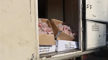 توزيع 2 طن من لحوم أضاحي على المحتاجين في كفر الشيخ