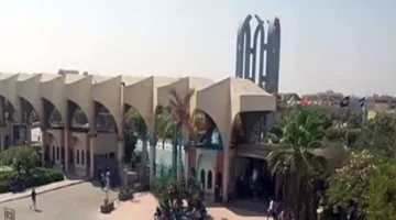 توزيع الجامعات 2025: أقسام كلية علوم الرياضة للبنين في الهرم