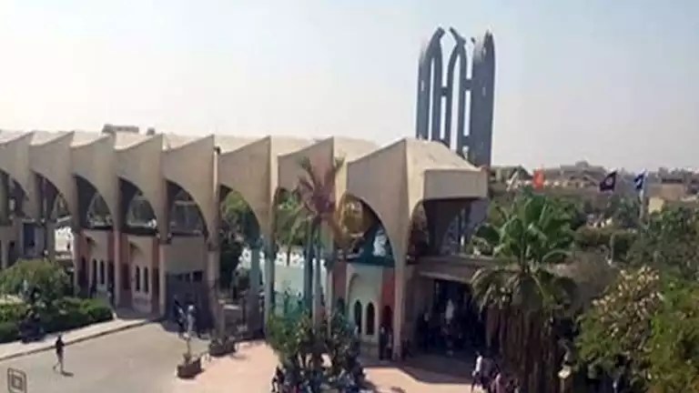 توزيع الجامعات 2025: أقسام كلية علوم الرياضة للبنين في الهرم توزيع الجامعات 2025: أقسام كلية علوم الرياضة للبنين في الهرم