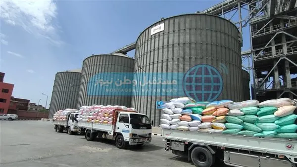 توفير 314 ألف طن من القمح لمخازن وصوامع محافظة البحيرة بزيادة نسبتها 31.2% توفير 314 ألف طن من القمح لمخازن وصوامع محافظة البحيرة بزيادة نسبتها 31.2%