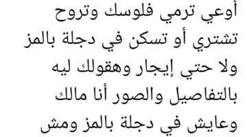 توقف إمدادات المياه وغياب الأمن وضعف الأمان: «دجلة بالمز» تواجه شتى الانتقادات