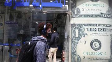 ثبات سعر الدولار الأميركي مقابل الجنيه المصري في الأسواق المصرية