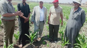 جهود مكافحة الآفات تُسدل الستار على حملة مكافحة القوارض وتتابع مراقبة الأنواع الأخرى
