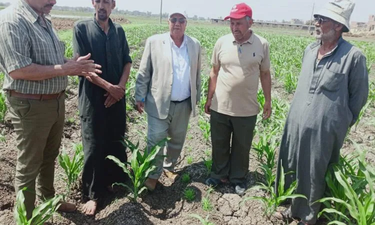 جهود مكافحة الآفات تُسدل الستار على حملة مكافحة القوارض وتتابع مراقبة الأنواع الأخرى جهود مكافحة الآفات تُسدل الستار على حملة مكافحة القوارض وتتابع مراقبة الأنواع الأخرى