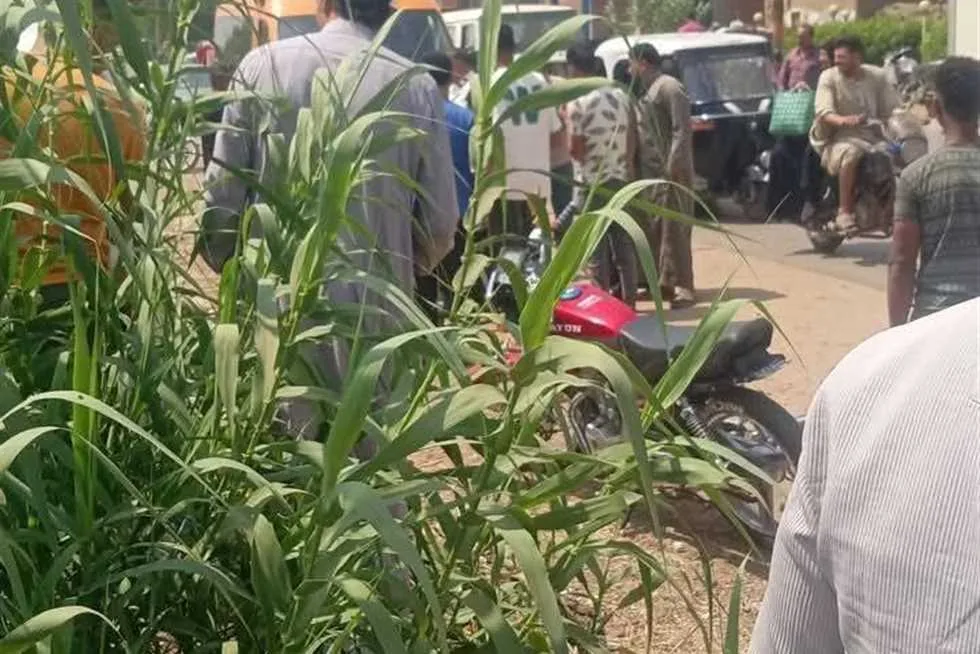 حادث انقلاب سيارة في ترعة بطريق “سمادون – أشمون” بمحافظة المنوفية حادث انقلاب سيارة في ترعة بطريق “سمادون – أشمون” بمحافظة المنوفية