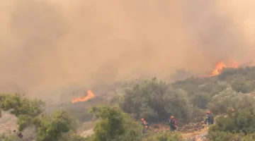 حرائق جزيرة خيوس اليونانية.. إجلاء 16 قرية ومخيم للاجئين