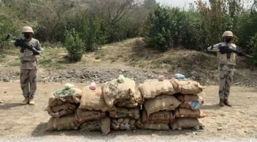 حرس الحدود في جازان يعتقل مهربين لحيازتهما 280 كيلوغرامًا من القات