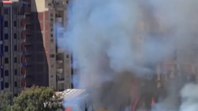 حريق يشتعل في غابات بيانكي غرب الإسكندرية – صور حريق يشتعل في غابات بيانكي غرب الإسكندرية – صور