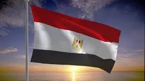 حزب التجمع يعلن دعمه للاعتراض المصري على ما يسمى بـ “قافلة الصمود”