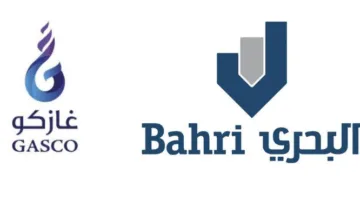 حساب نسبة التقلب لسهم “البحري” استنادًا إلى سعر 24.94 ريال