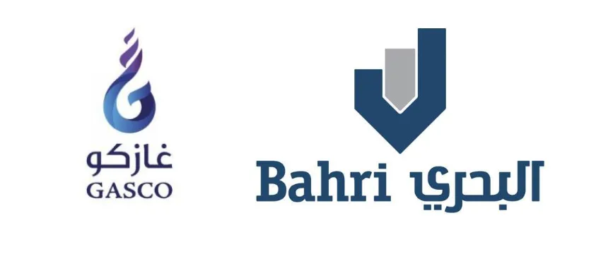 حساب نسبة التقلب لسهم “البحري” استنادًا إلى سعر 24.94 ريال