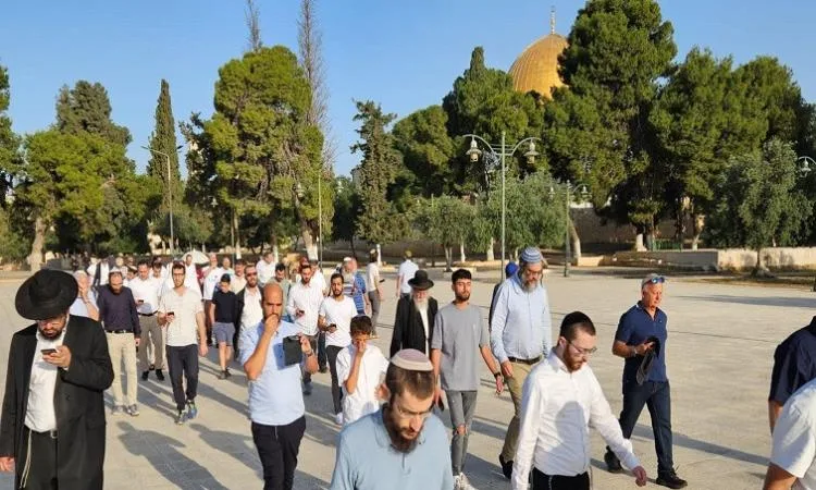 حماس: نُنبّه من تزايد اقتحامات المستوطنين للمسجد الأقصى حماس: نُنبّه من تزايد اقتحامات المستوطنين للمسجد الأقصى