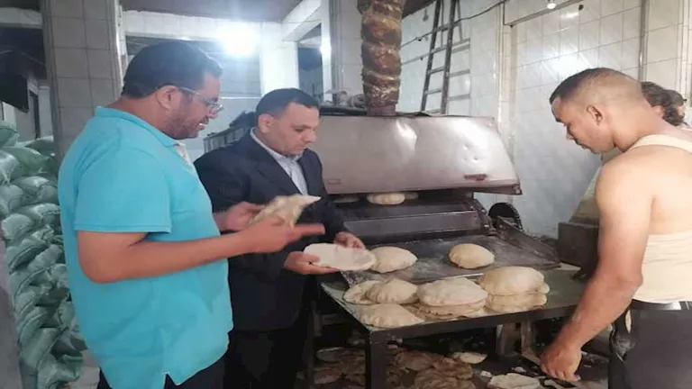 حملات تموينية واسعة في الإسكندرية خلال أول أيام عيد الأضحى (صور)
