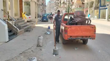 حملة شاملة لزيادة نسبة الإشغال في غرب المنصورة (صور)