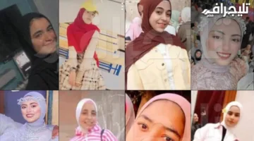خارج المعايير.. استشاري طرق يبرز مفاجأة مدهشة بشأن حادث الطريق الإقليمي