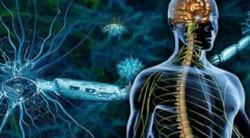 خبراء وأطباء ينبهون إلى مخاطر مرض التصلب المتعدد