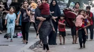 خبير إسرائيلي: جيش الاحتلال أصبح لا يعتبر سكان غزة بشراً