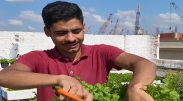 خبير زراعي: الحكومة تعمل بجد لتقوية القطاع الزراعي وتعزيز وضع الفلاح.
