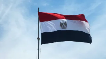 خبير من البرازيل: مصر تمتلك القدرة على تطوير مناطق اقتصادية رقمية