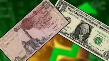 خبير يشرح لـ«الحرية» أثر العوامل الخارجية على أسعار الصرف وتحديات الاقتصاد المصري