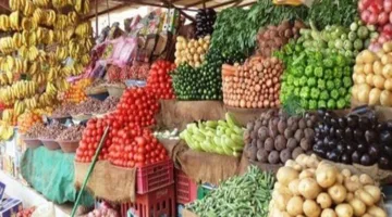 الخضروات المخمرة: مصدر غني للبكتيريا المفيدة