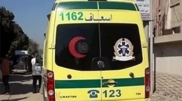 خمسة جرحى نتيجة تصادم توك توك مع ميني باص في القليوبية