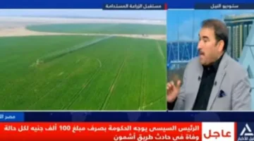 د. جمال عبد ربه: الدولة تسعى لتحسين القطاع الزراعي من خلال التصنيع بدلاً من تصدير المنتجات الخام.