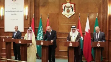 د. حسن سلامة: جهود عربية متزايدة لمواجهة محاولات تصفية القضية الفلسطينية