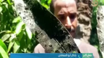 د. شاكر أبو المعاطي يوضح نصائح للمزارعين للتعامل مع درجات الحرارة المرتفعة
