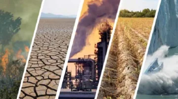 د. ناهد نور الدين: التغيرات المناخية قد تؤدي لاختفاء عسل النحل في عام 2035