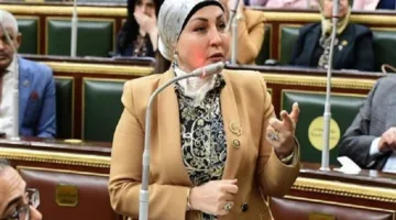 د. هالة أبو السعد: المشاريع الصغيرة هي الحل الرئيسي لتعزيز الاقتصاد المصري