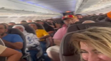 داخل الطائرة التي تحمل اللبنانيين من شرم الشيخ إلى بيروت… لا تفوتوا مشاهدة هذا الفيديو