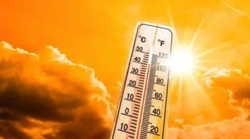 «درجات الحرارة في القاهرة تصل إلى 33 درجة».. اكتشف تفاصيل الطقس اليوم الأربعاء 4-6-2025