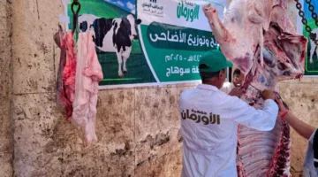 ذبح 35 رأسًا من الماشية وتوزيع اللحوم على الأسر المحتاجة في سوهاج
