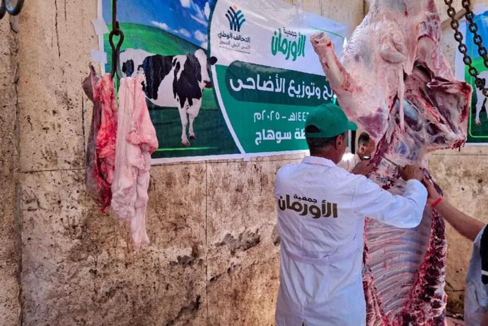 ذبح 35 رأسًا من الماشية وتوزيع اللحوم على الأسر المحتاجة في سوهاج ذبح 35 رأسًا من الماشية وتوزيع اللحوم على الأسر المحتاجة في سوهاج