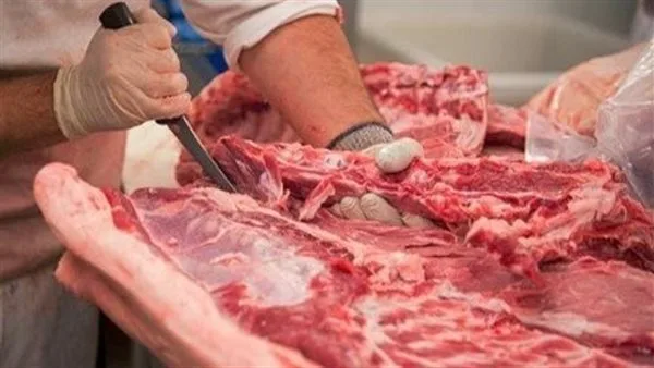 ذبح مجاني: المجازر الحكومية تستقبل 9900 أضحية في أول يوم من عيد الأضحى ذبح مجاني: المجازر الحكومية تستقبل 9900 أضحية في أول يوم من عيد الأضحى