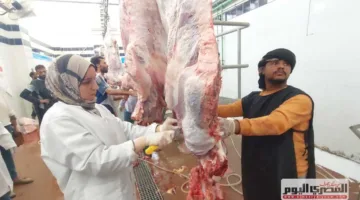 “ذبح مجاني” … سير العمل في مسالخ البحر الأحمر خلال أول أيام عيد الأضحى