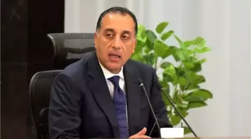 رئيس الوزراء: ثلاث سفن للغاز جاهزة لتلبية احتياجاتنا من الطاقة بداية يوليو