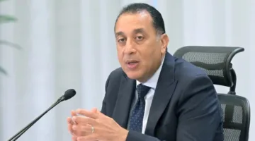 رئيس الوزراء يناقش فرص الاستثمار في مجال الكهرباء والطاقة